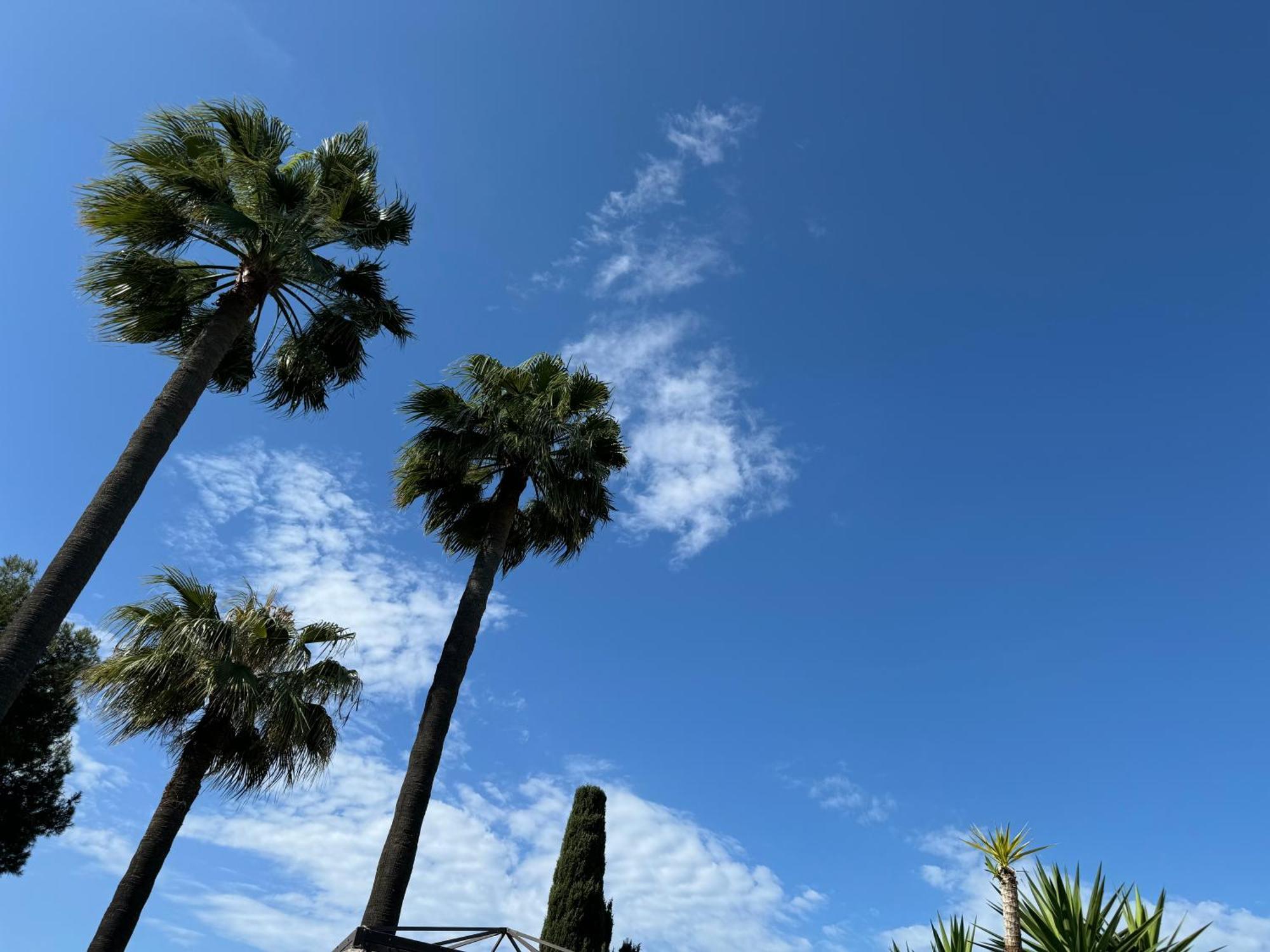 Amazing Sea View Apartment In Miraflores La Cala De Mijas Exteriör bild